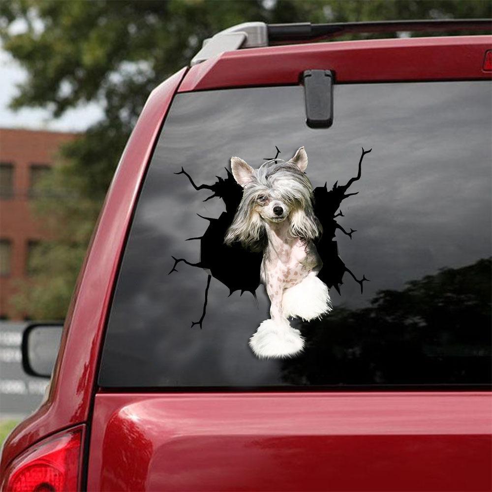 CHINESE CRESTED CRACK CAR STICKER 3