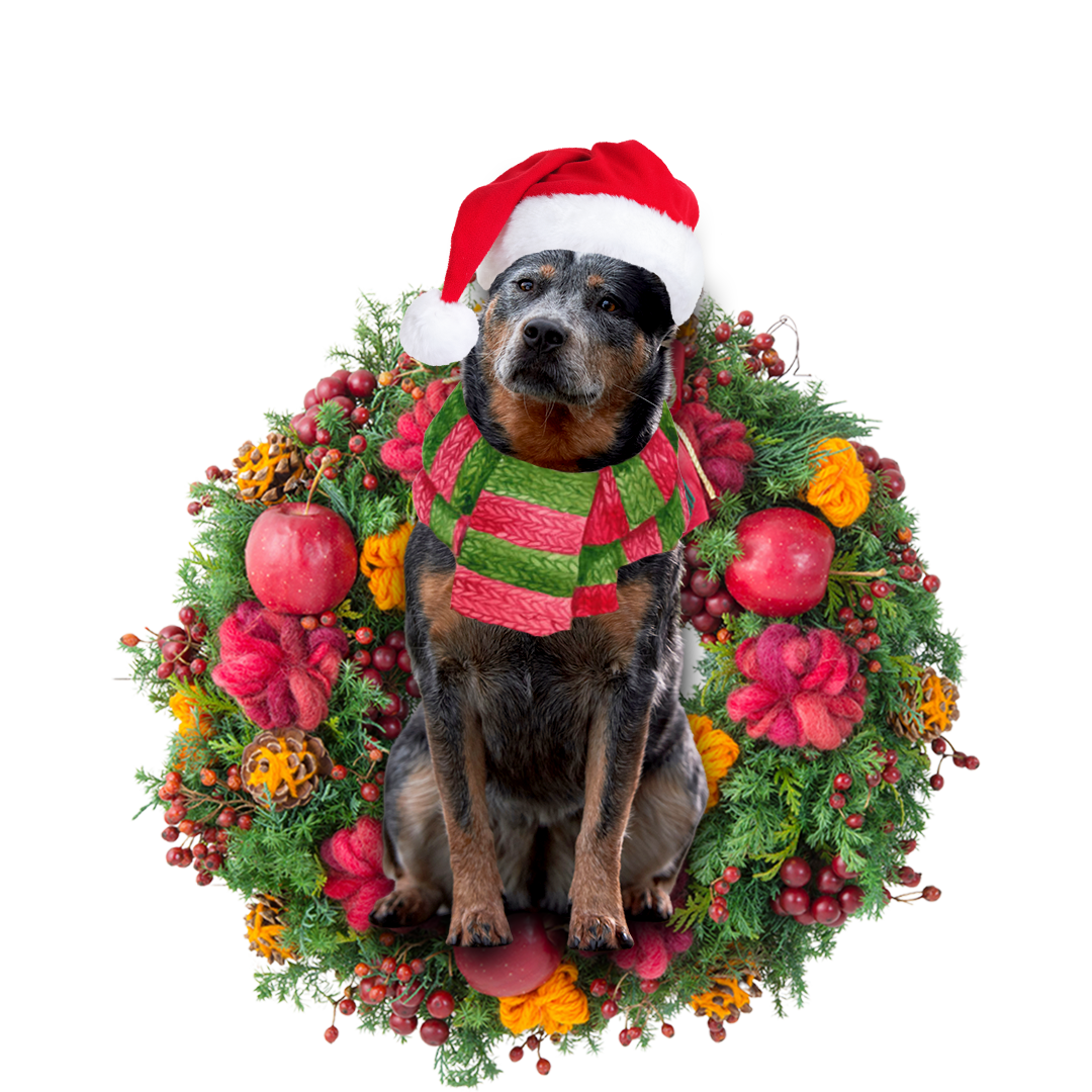 Cattle Dog Christmas Ornament