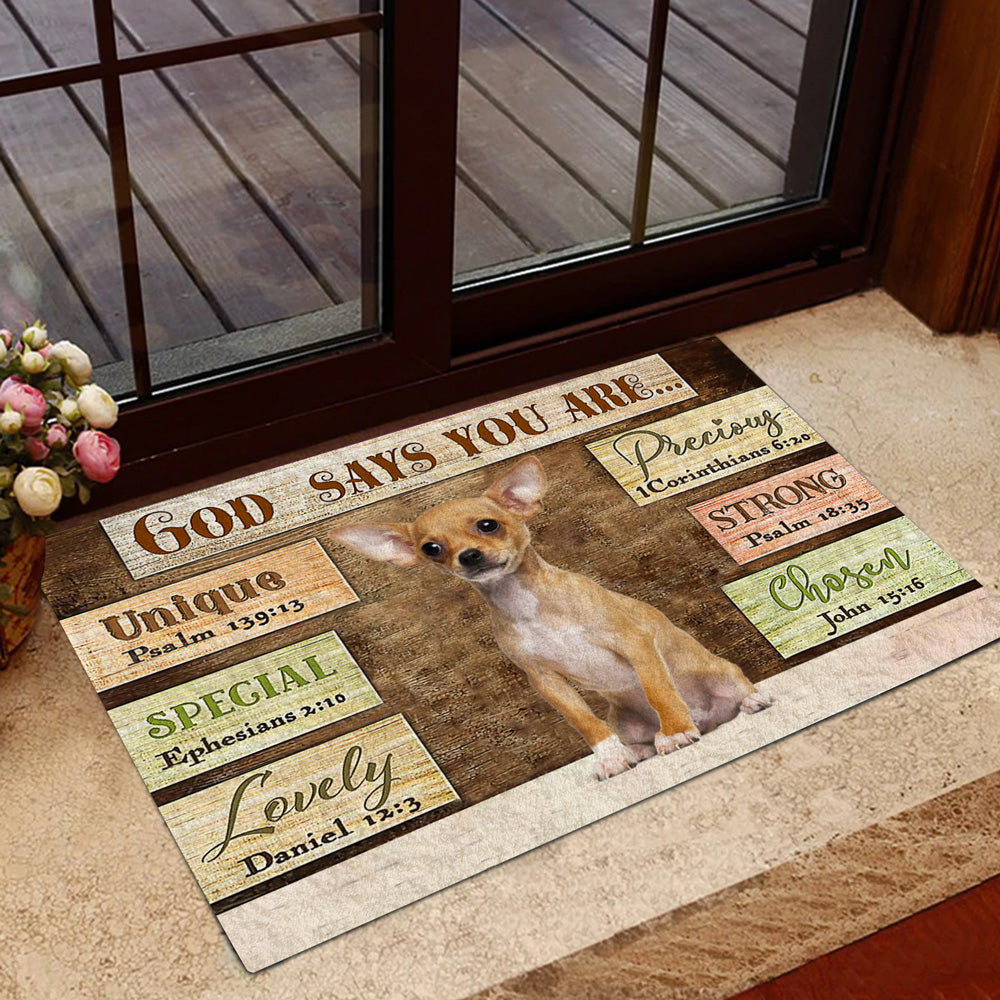 Chihuahua2 God Says You Are Doormat