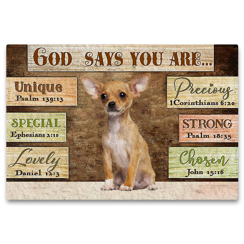 Chihuahua2 God Says You Are Doormat