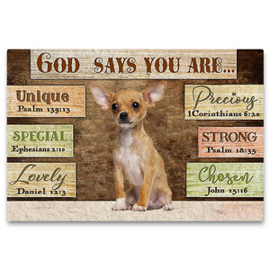 Chihuahua2 God Says You Are Doormat