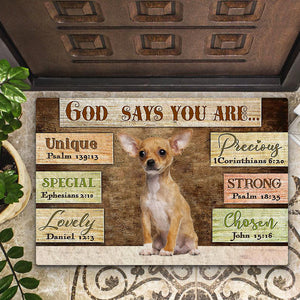 Chihuahua2 God Says You Are Doormat