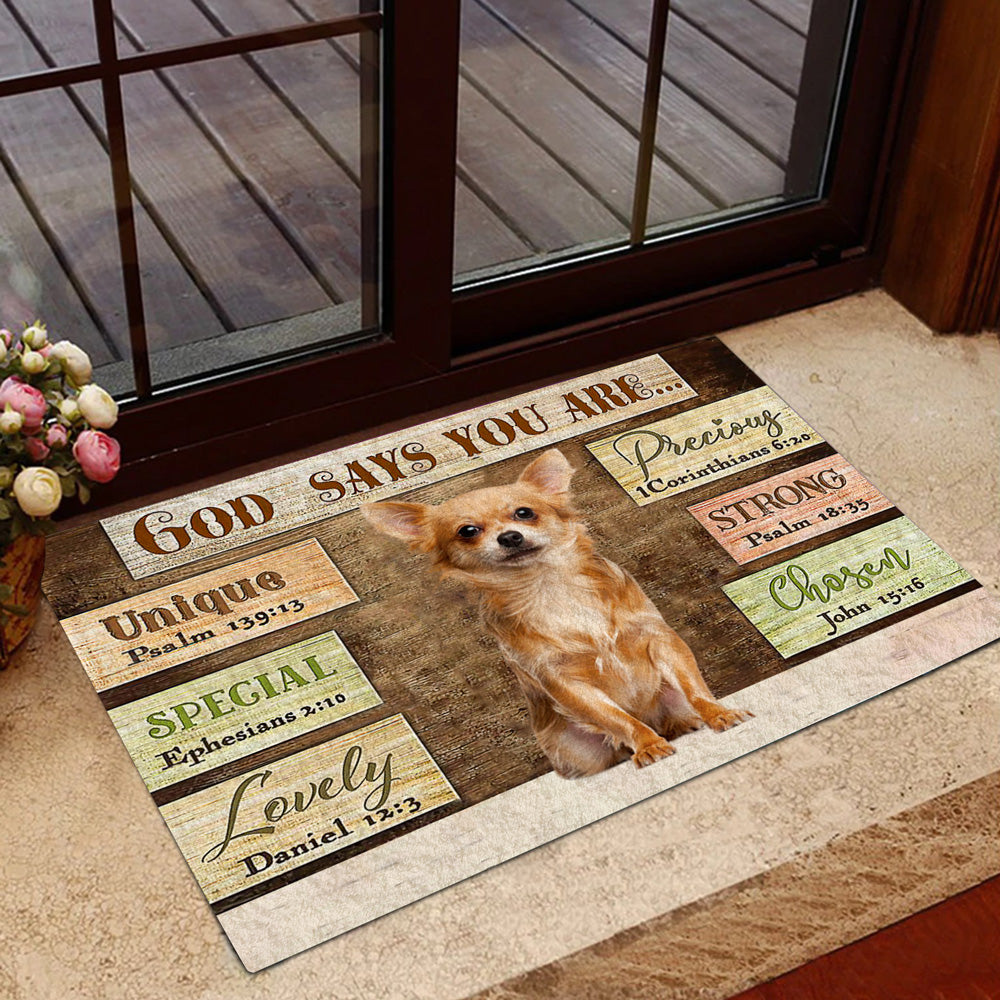 Chihuahua3 God Says You Are Doormat