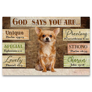 Chihuahua3 God Says You Are Doormat