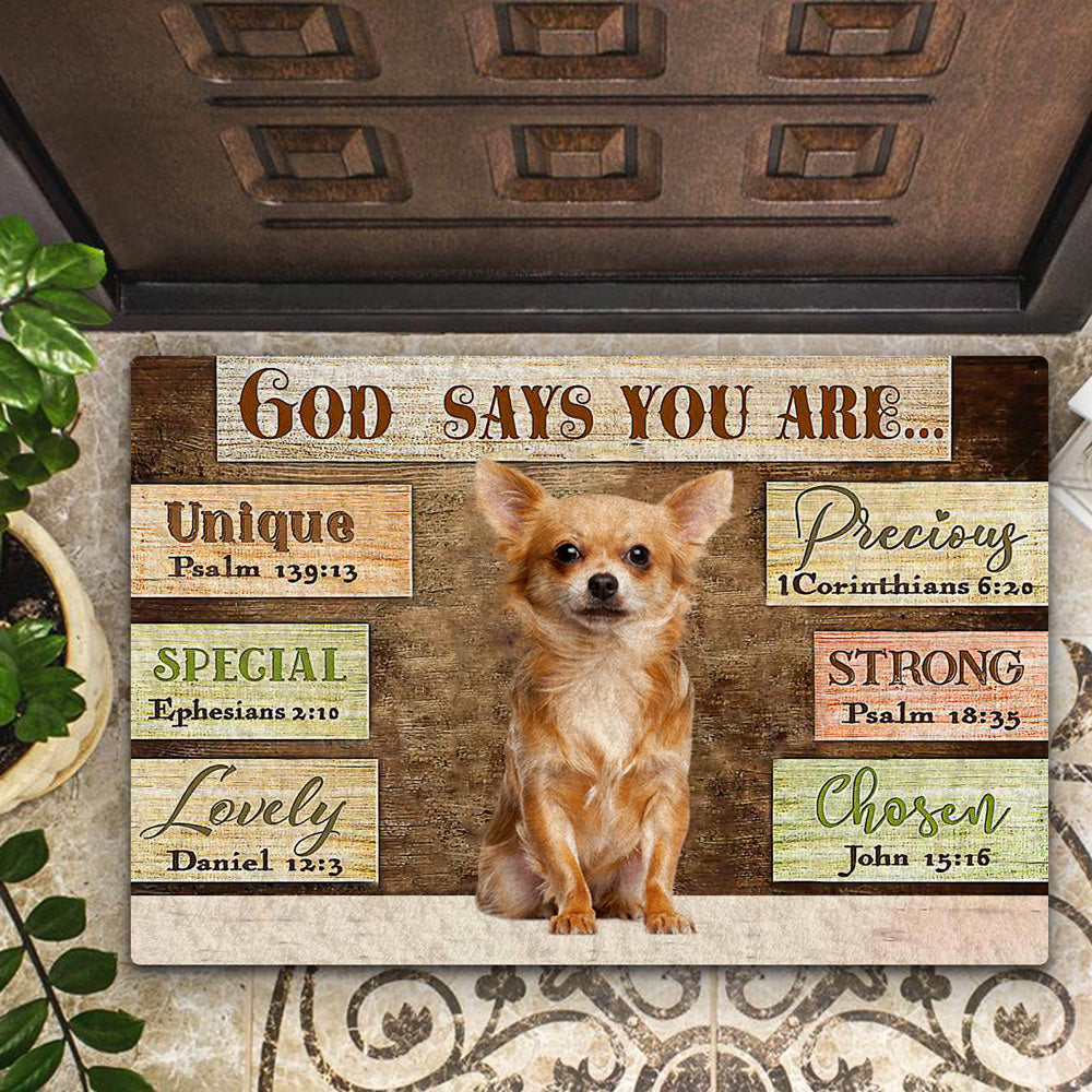 Chihuahua3 God Says You Are Doormat