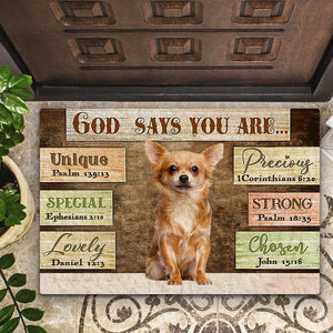 Chihuahua3 God Says You Are Doormat