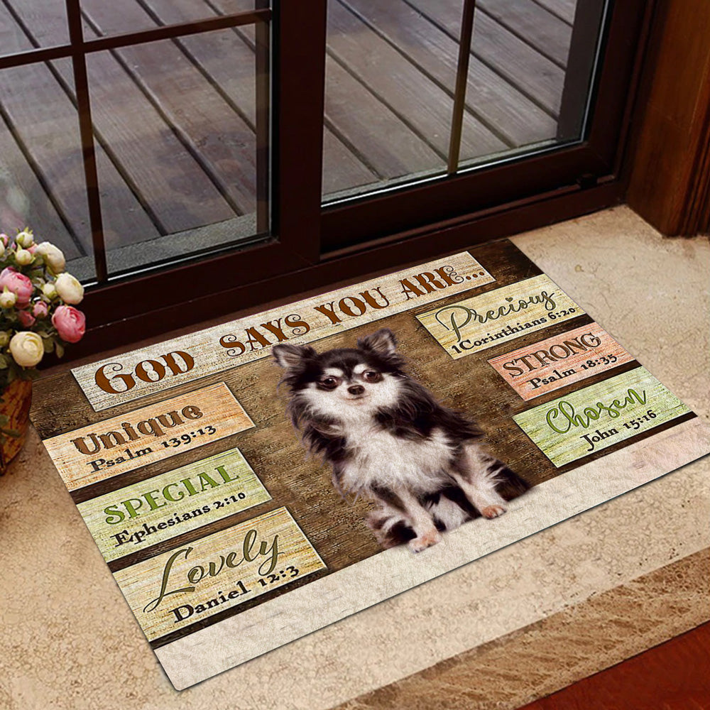 Chihuahua4 God Says You Are Doormat