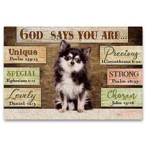 Chihuahua4 God Says You Are Doormat