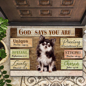 Chihuahua4 God Says You Are Doormat