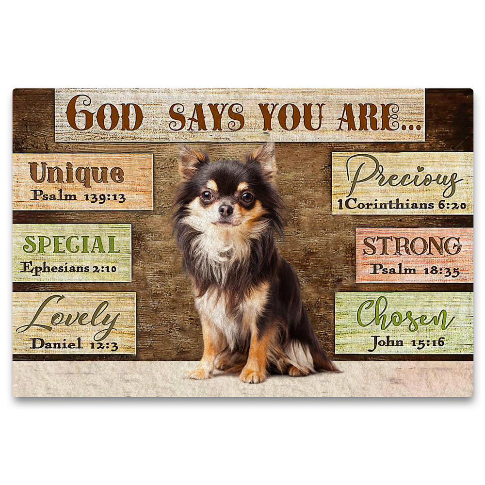 Chihuahua God Says You Are Doormat