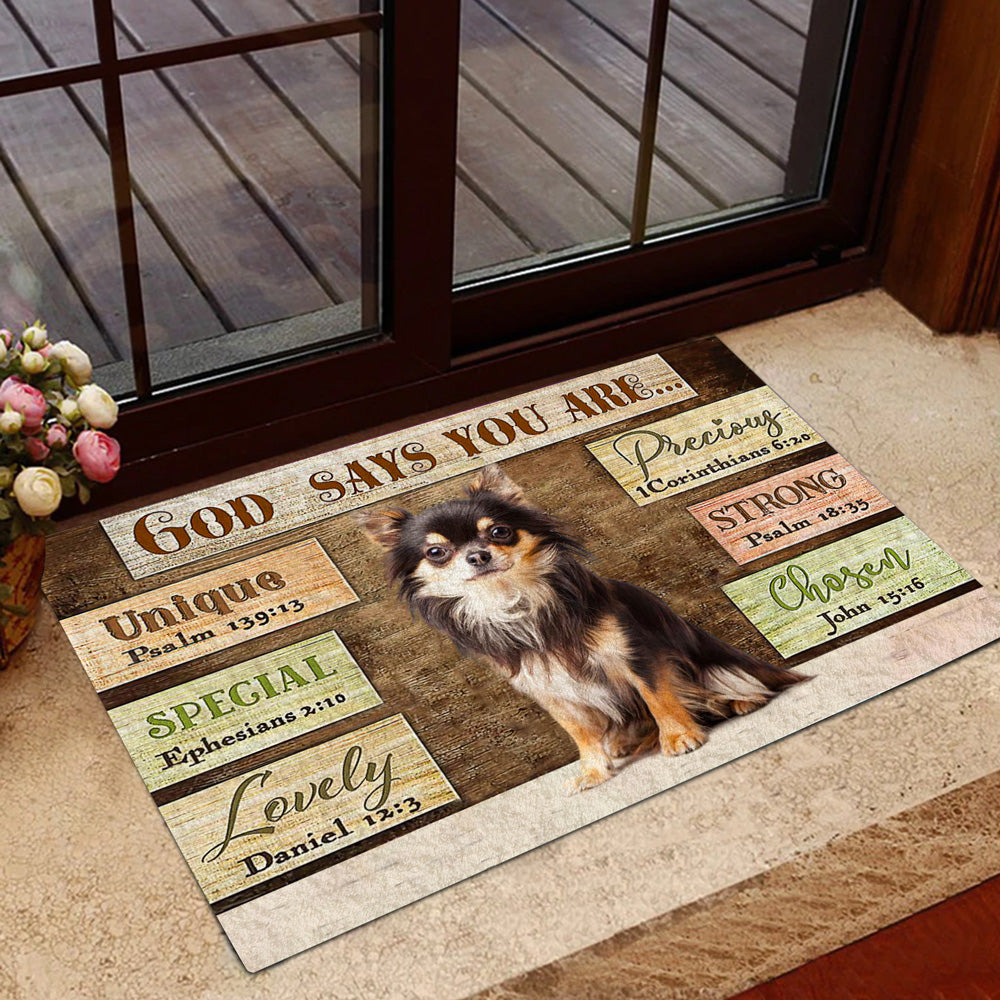 Chihuahua God Says You Are Doormat