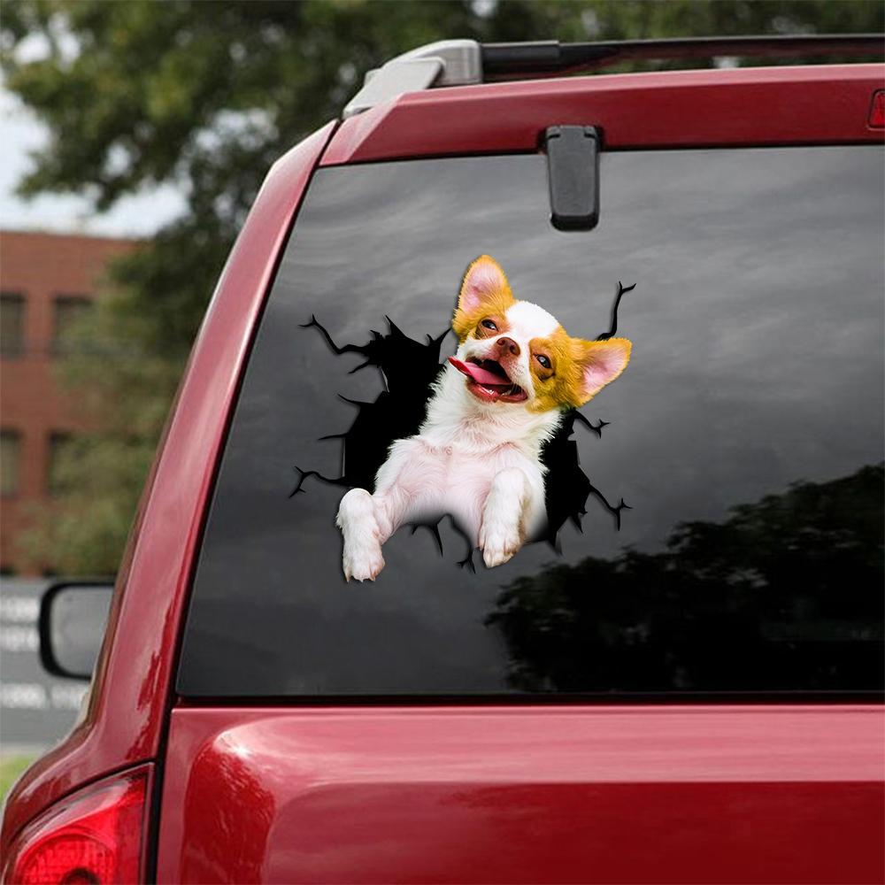 Chihuahua Crack Car Sticker, Toilet Sticker, Fridge Sticker (6)