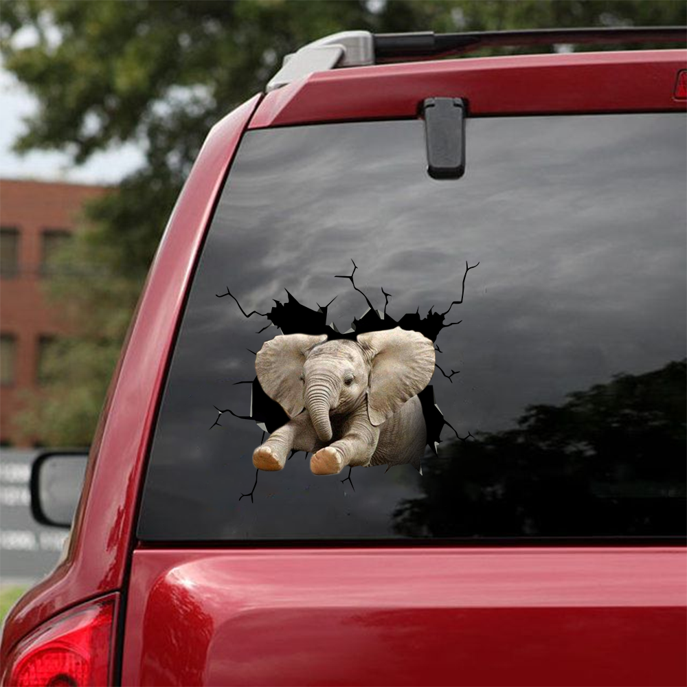 Elephant Crack  Sticker