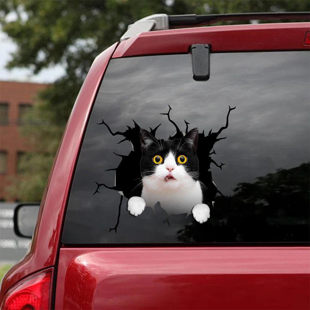 Car Sticker Cats Lover (83)