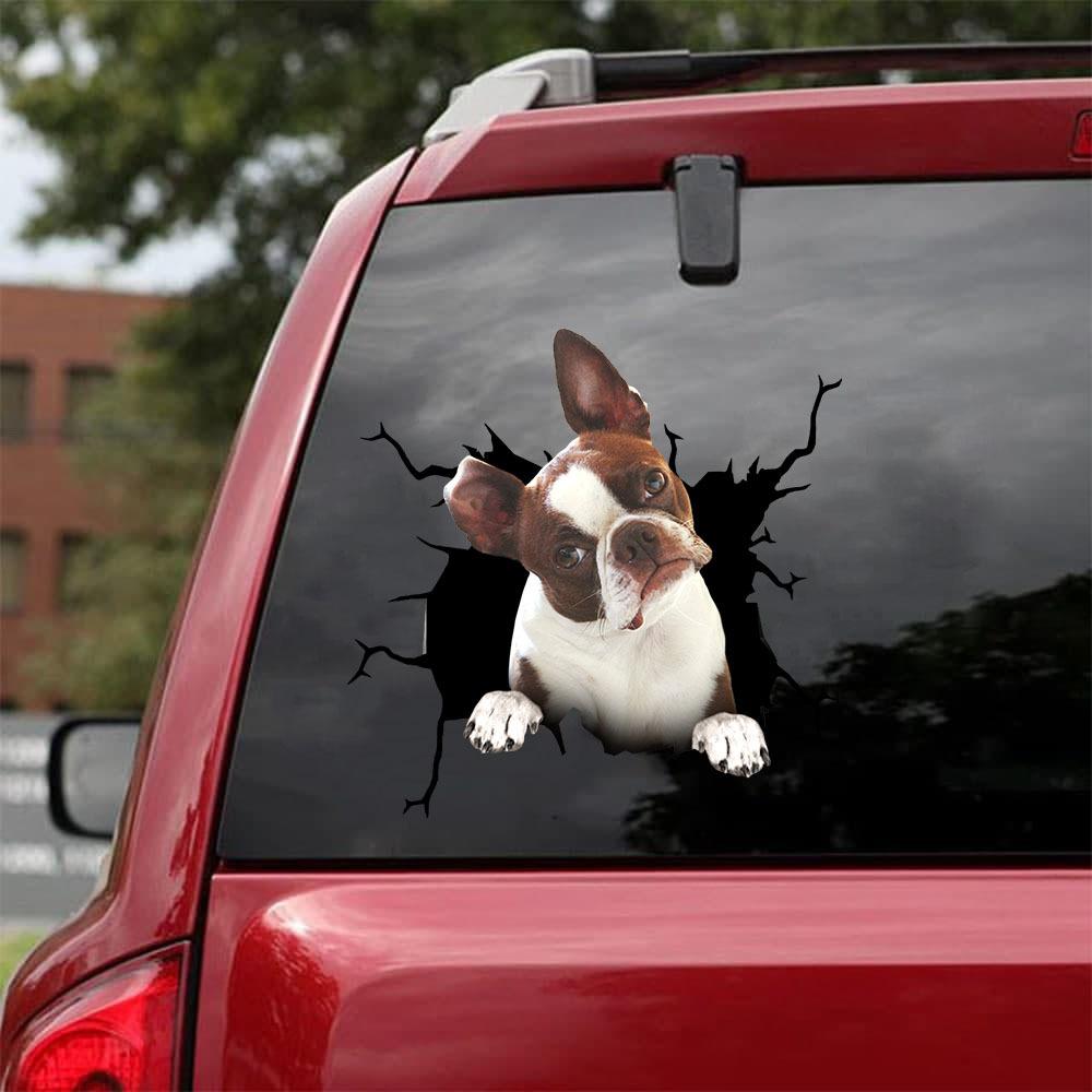 BOSTON TERRIER CRACK STICKER 3