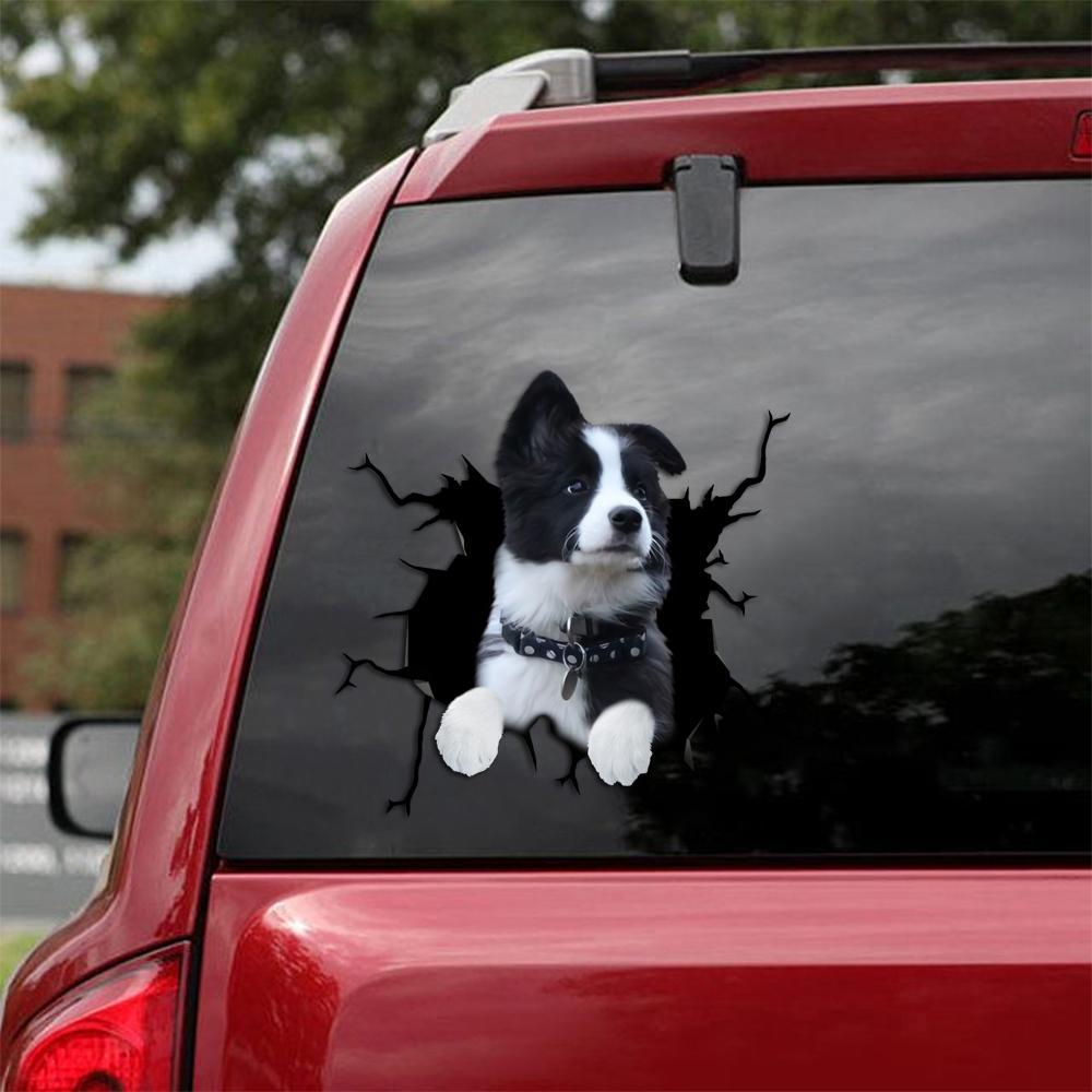 Border Collie Crack Car Sticker, Toilet Sticker, Fridge Sticker 13