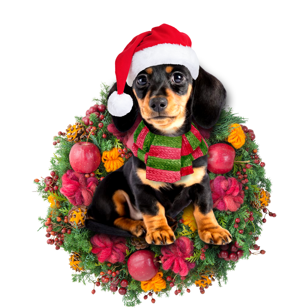 Dachshund Christmas Ornament