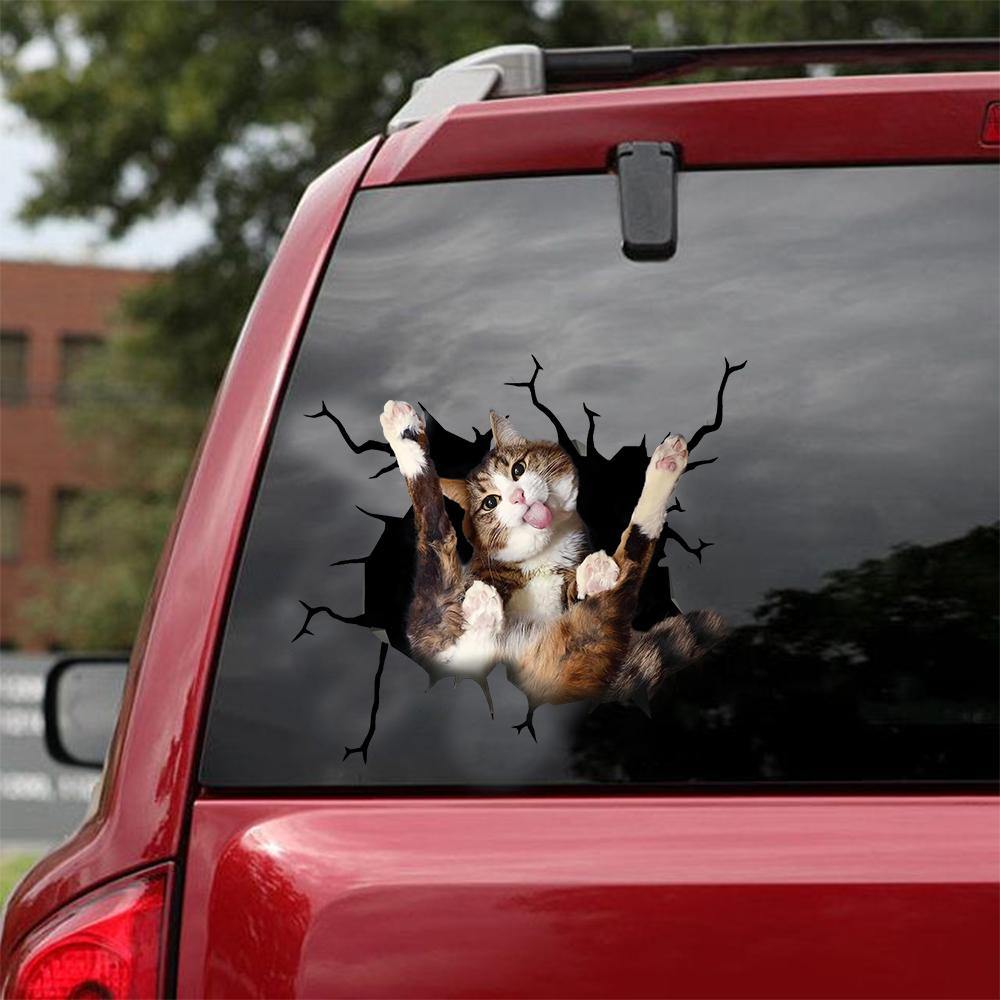 FUNNY CATS CRACK CAR STICKER CATS LOVER 5