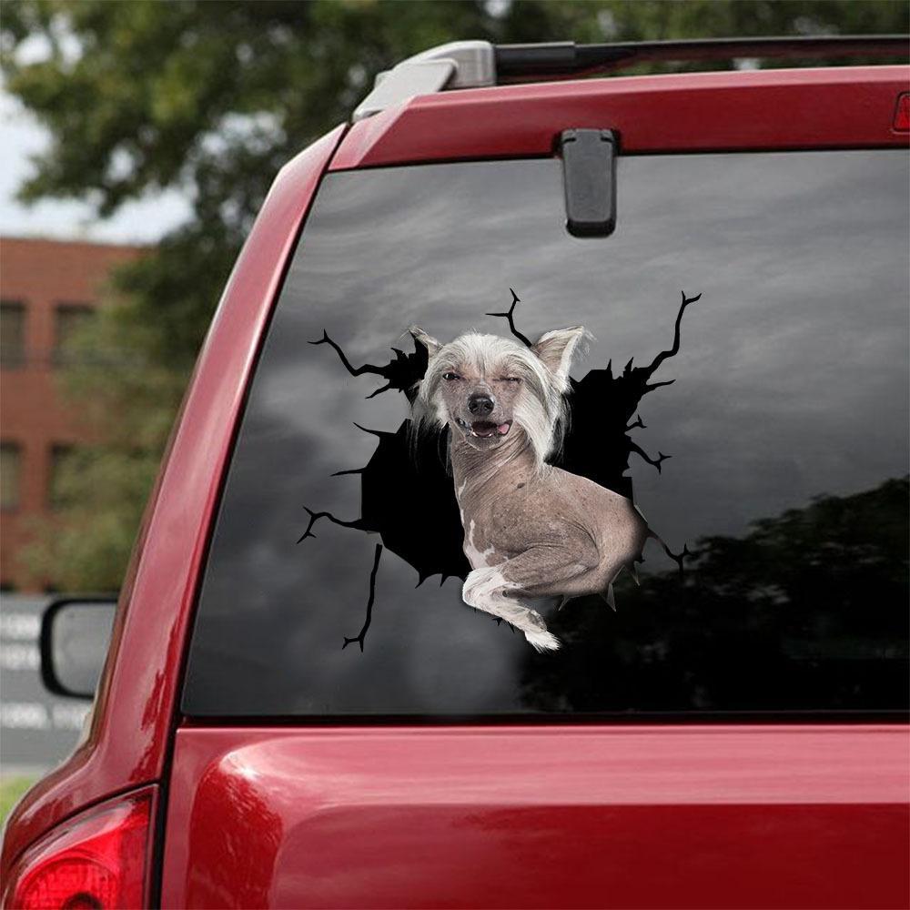 CHINESE CRESTED CRACK CAR STICKER 1