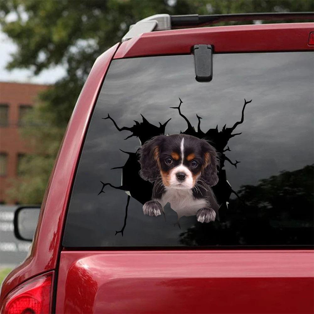 Cavalier King Charles Spaniel Crack Car Sticker, Toilet Sticker, Fridge Sticker 12