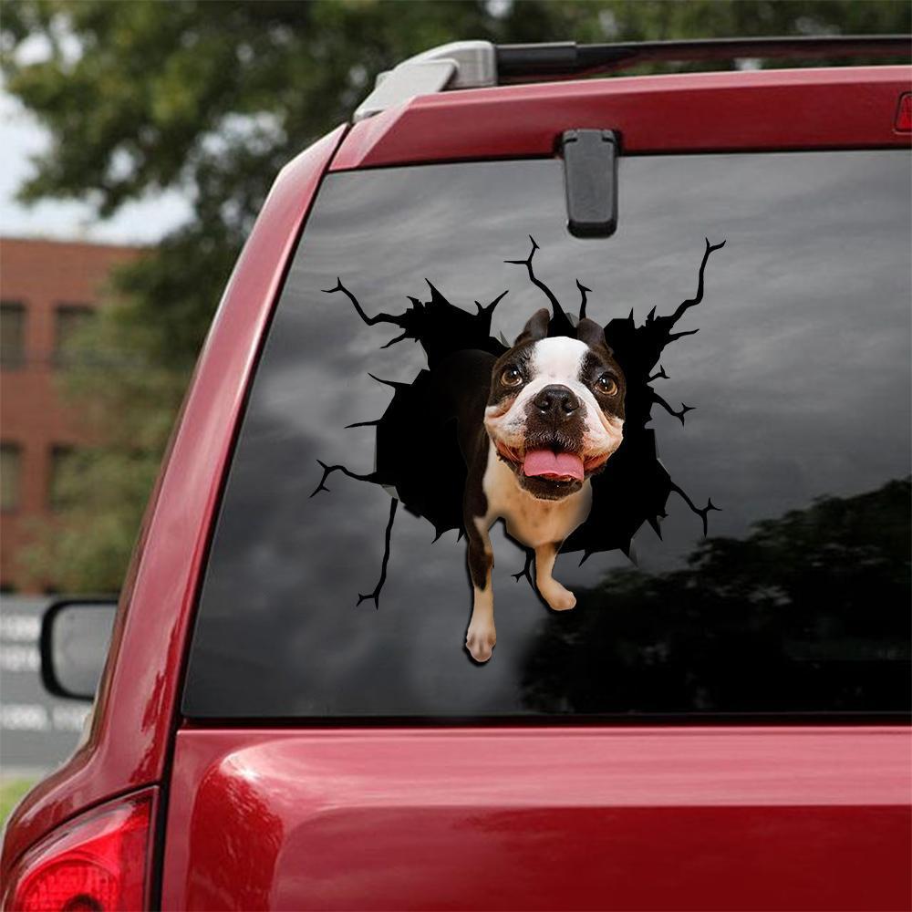 BOSTON TERRIER CRACK STICKER 17