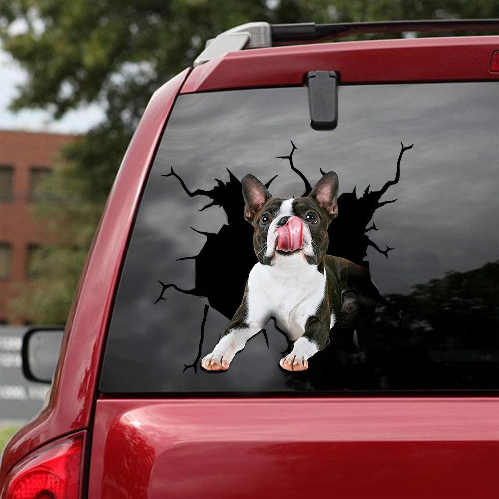 BOSTON TERRIER CRACK STICKER 12