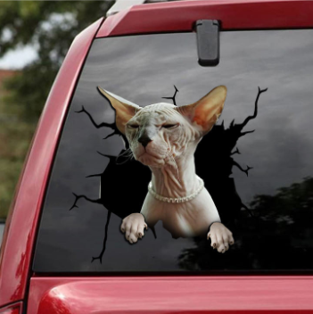 THE SPHYNX CRACK CAR STICKER CATS LOVER 6
