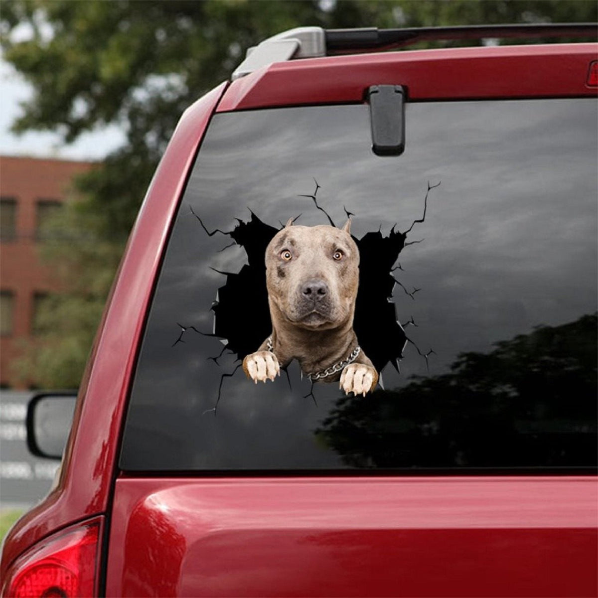 Pitbull Crack Sticker
