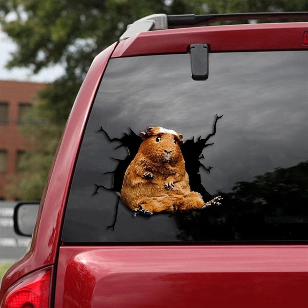 Guinea Pig Car Sticker 2