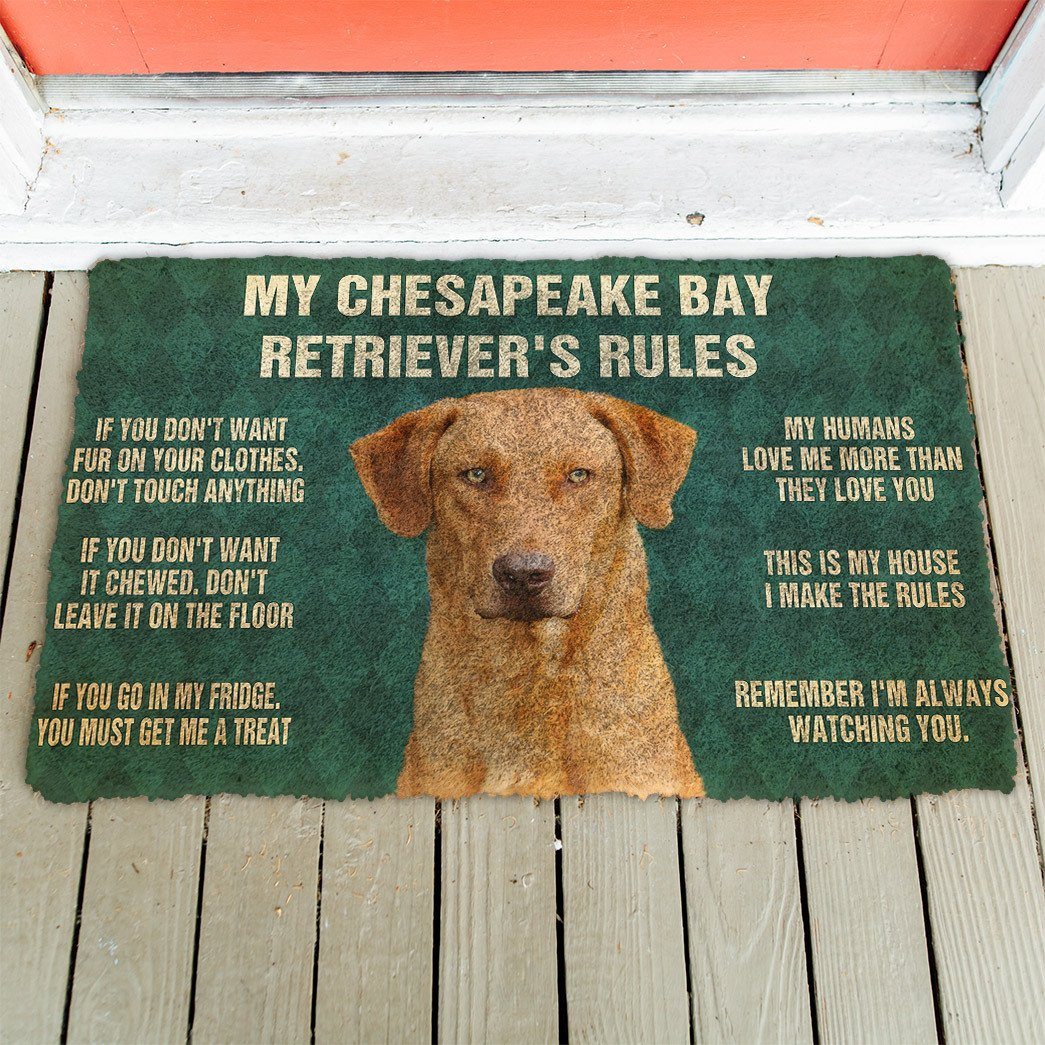 Bugybox 3D Chesapeake Bay Retriever's Rules Doormat