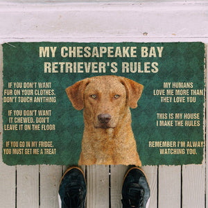 Bugybox 3D Chesapeake Bay Retriever's Rules Doormat