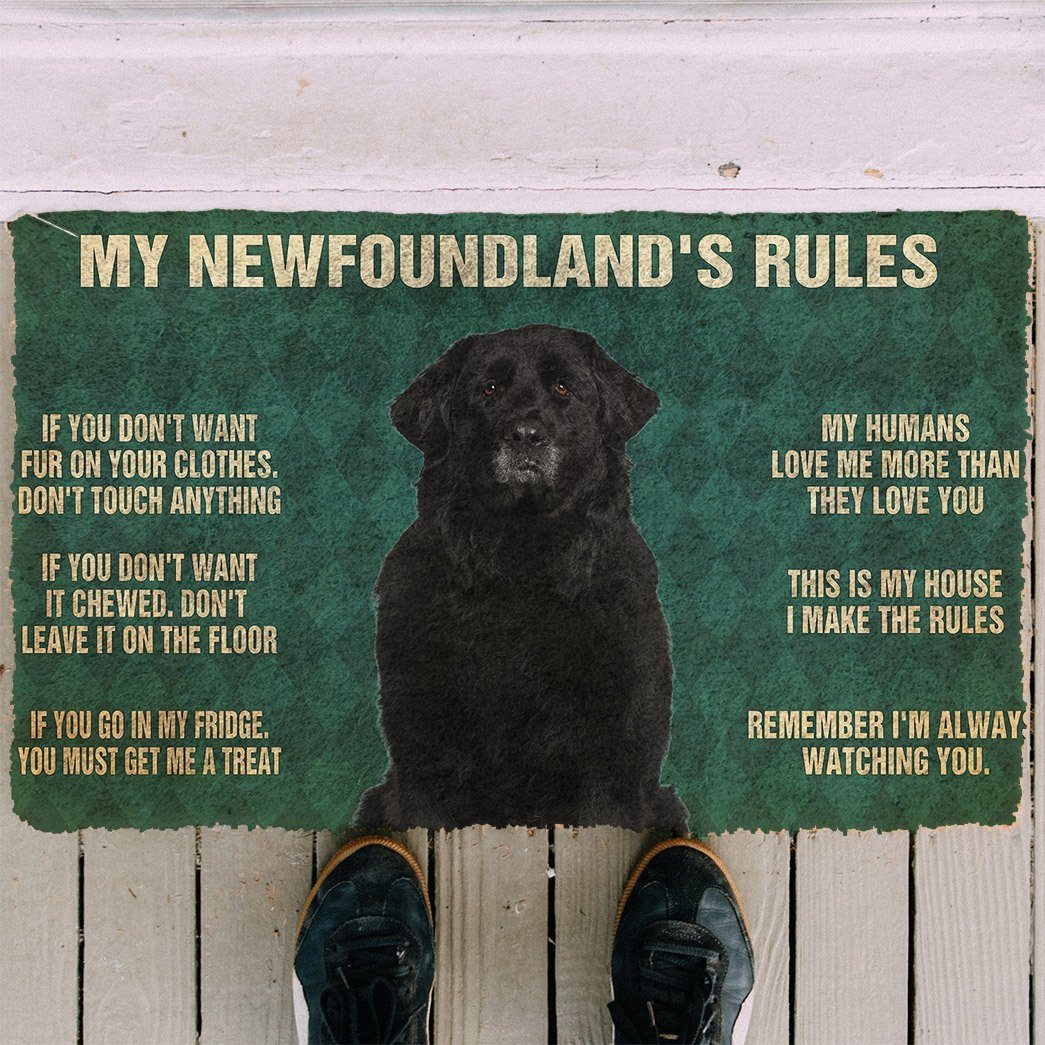 Bugybox 3D Newfoundland's Rules Doormat