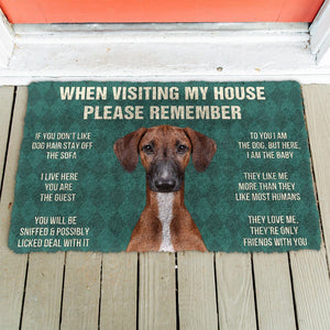 Bugybox  3D Please Remember Azawakh Dogs House Rules Doormat