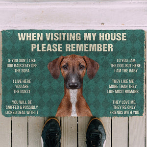 Bugybox  3D Please Remember Azawakh Dogs House Rules Doormat