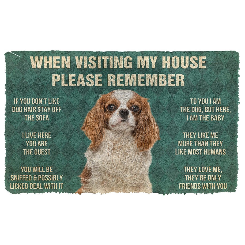 Bugybox 3D Please Remember Cavalier King Charles Spaniel Dogs House Rules Doormat