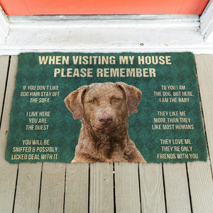 Bugybox 3D Please Remember Chesapeake Bay Retriever Dogs House Rules Doormat