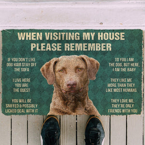 Bugybox 3D Please Remember Chesapeake Bay Retriever Dogs House Rules Doormat
