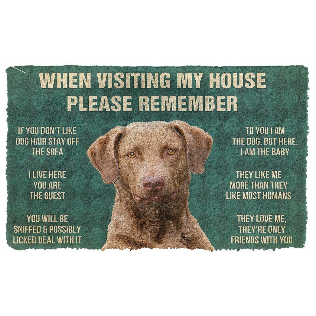 Bugybox 3D Please Remember Chesapeake Bay Retriever Dogs House Rules Doormat