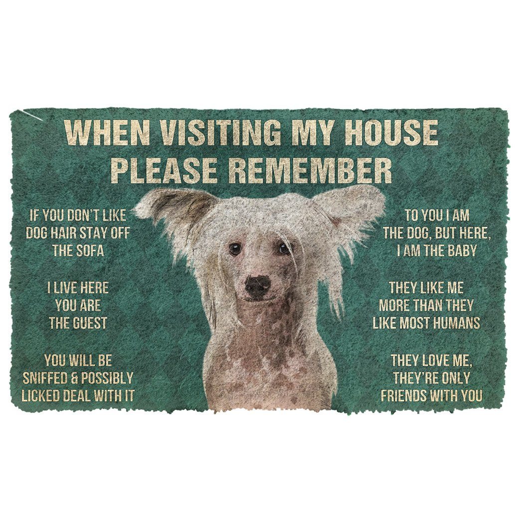 Bugybox 3D Please Remember Chinese Crested Dogs House Rules Doormat