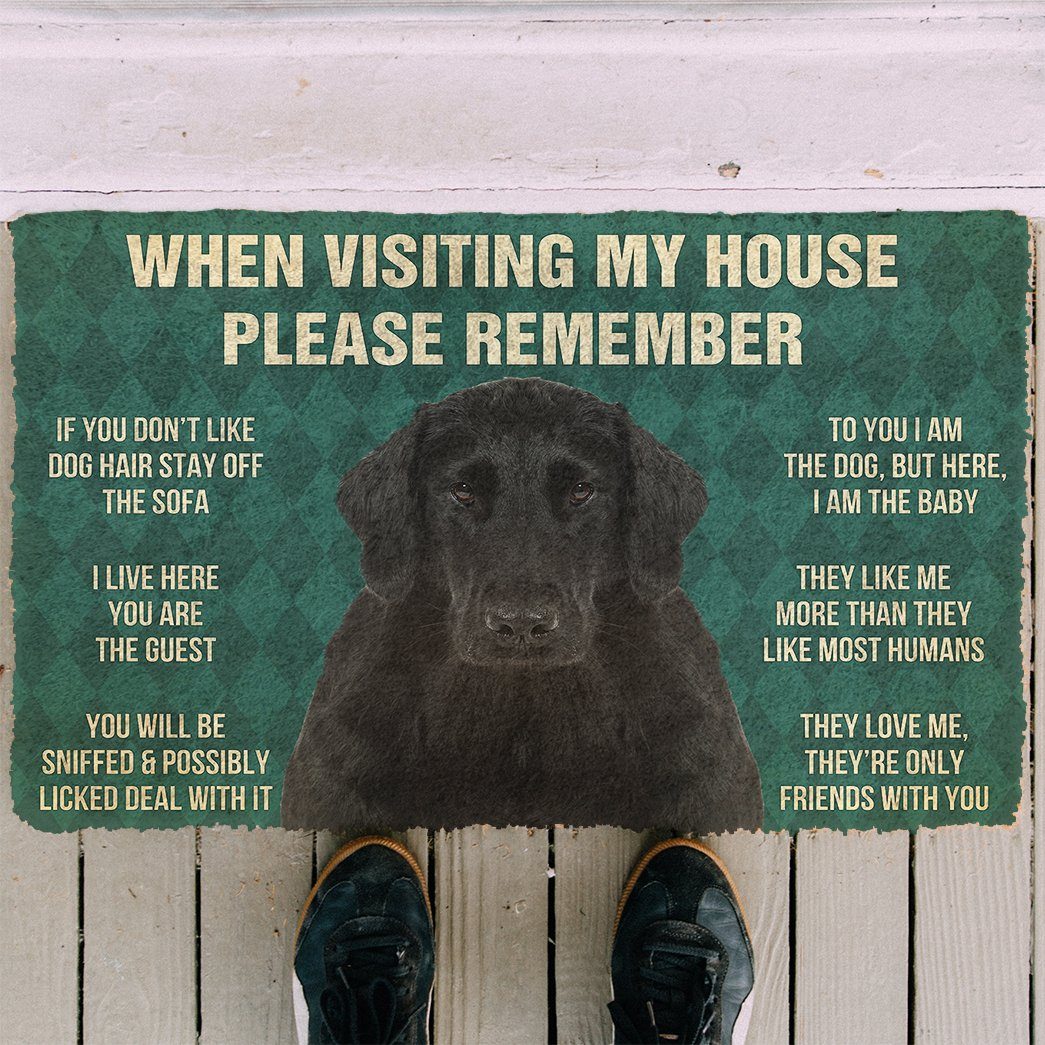 Bugybox 3D Please Remember Flat Coated Retriever Dogs House Rules Doormat