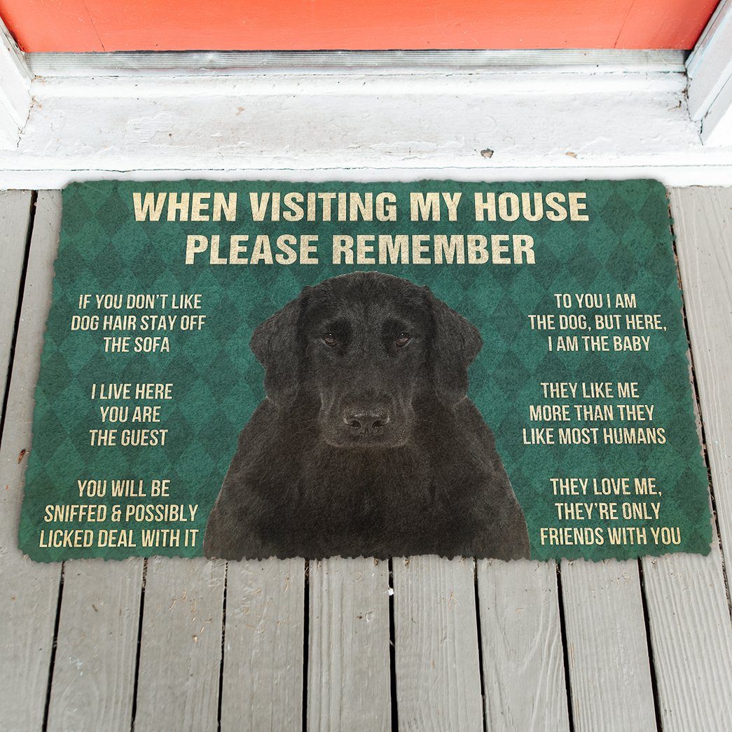 Bugybox 3D Please Remember Flat Coated Retriever Dogs House Rules Doormat
