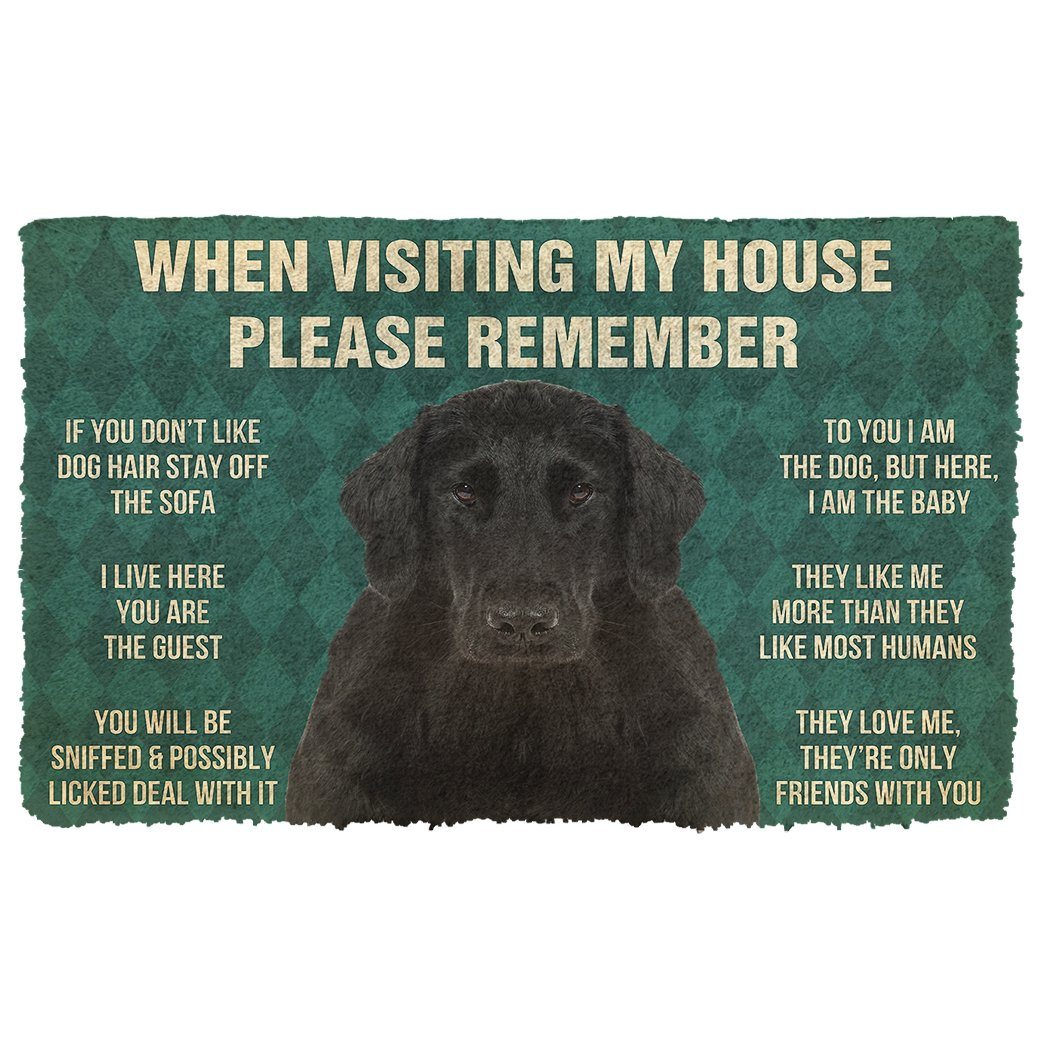 Bugybox 3D Please Remember Flat Coated Retriever Dogs House Rules Doormat