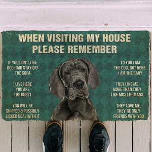 Bugybox 3D Please Remember Great Dane House Rules Doormat