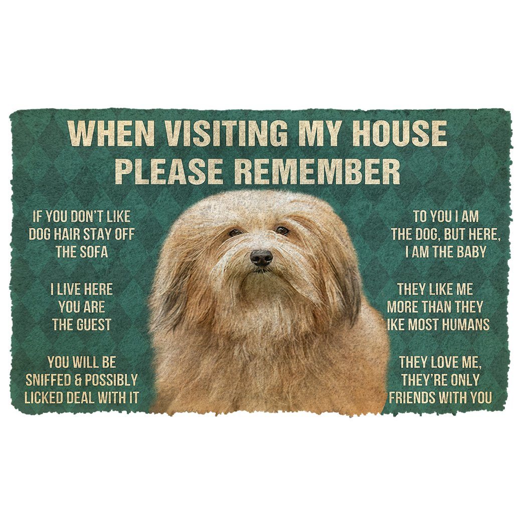 Bugybox 3D Please Remember Havanese Dogs House Rules Doormat