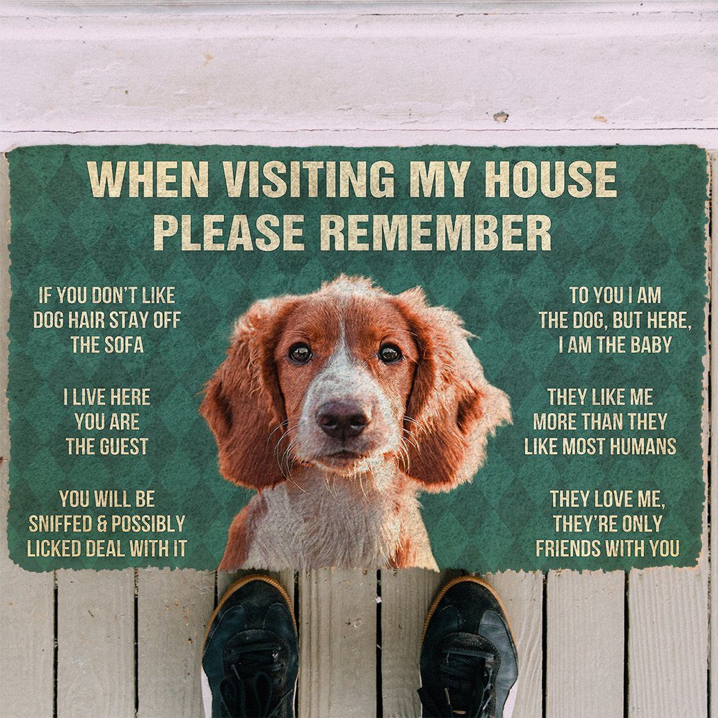 Bugybox  3D Please Remember Irish Red and White Setter Dogs House Rules Doormat