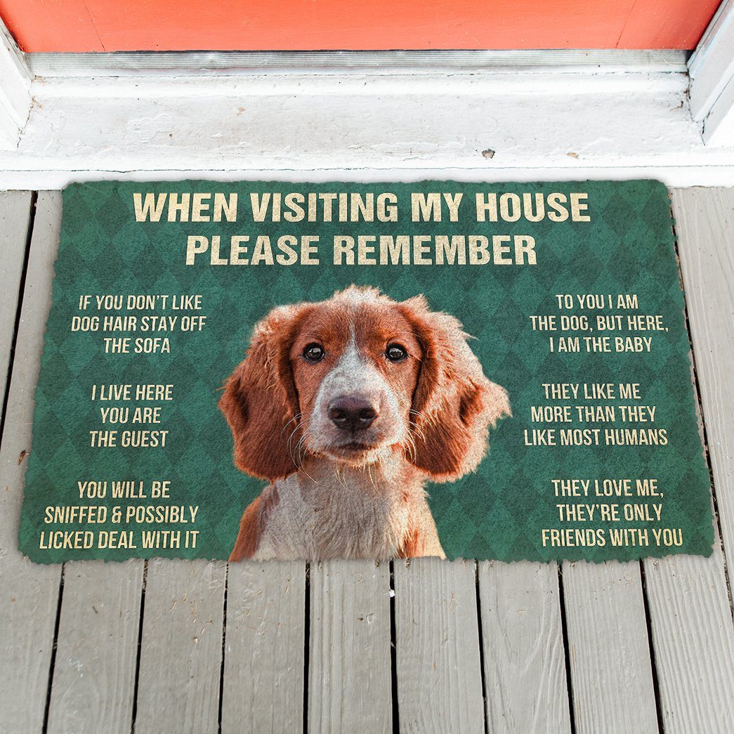 Bugybox  3D Please Remember Irish Red and White Setter Dogs House Rules Doormat