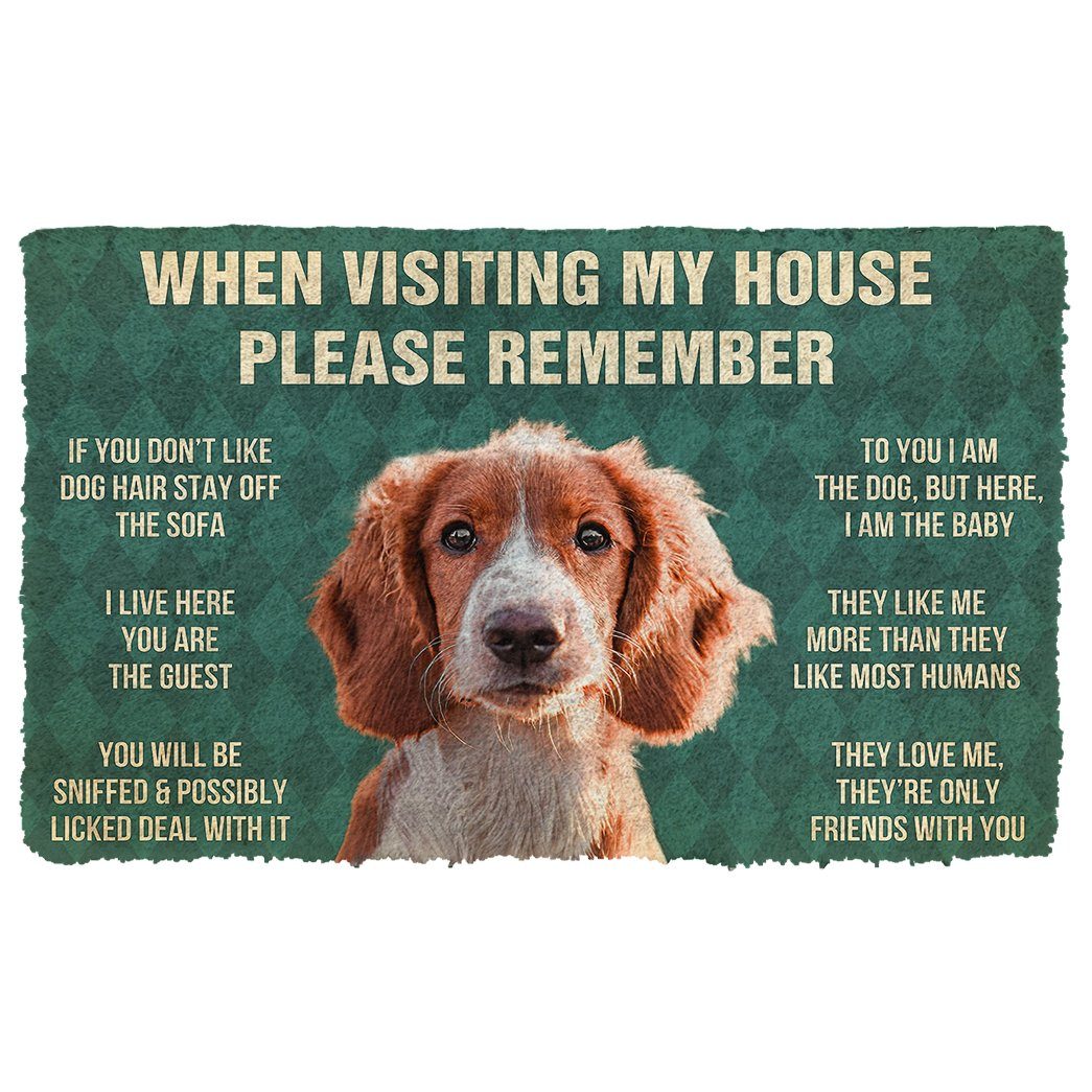 Bugybox  3D Please Remember Irish Red and White Setter Dogs House Rules Doormat