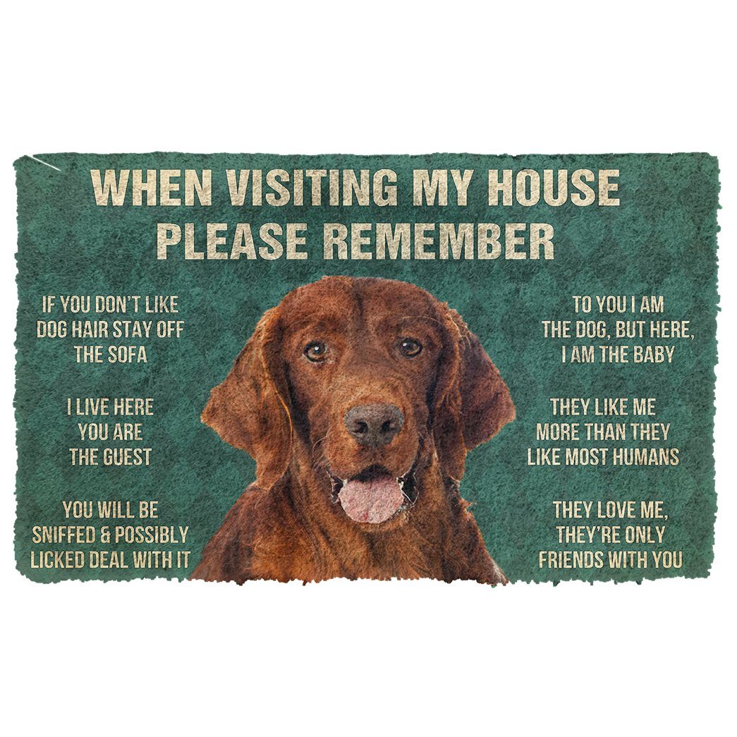 Bugybox 3D Please Remember Irish Setter House Rules Doormat