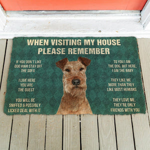 Bugybox 3D Please Remember Irish Terrier Dogs House Rules Doormat