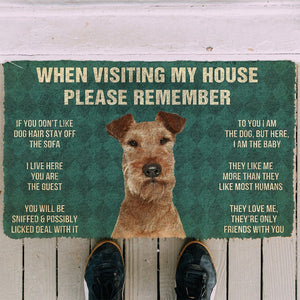 Bugybox 3D Please Remember Irish Terrier Dogs House Rules Doormat